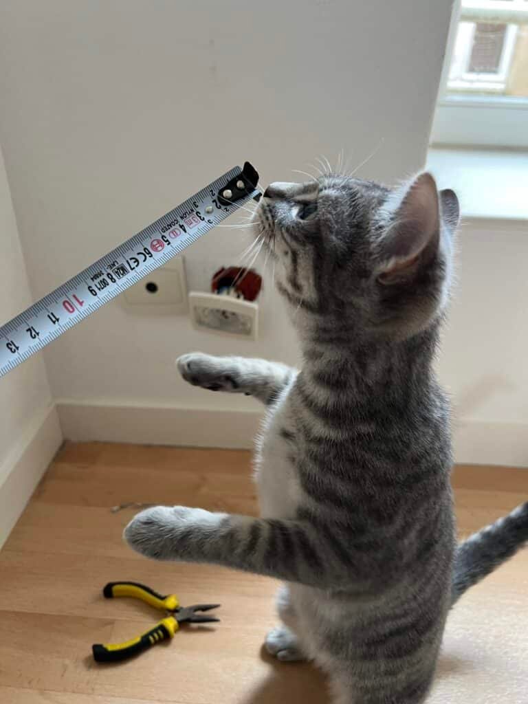 Installation de prise sécurisée à Deauville