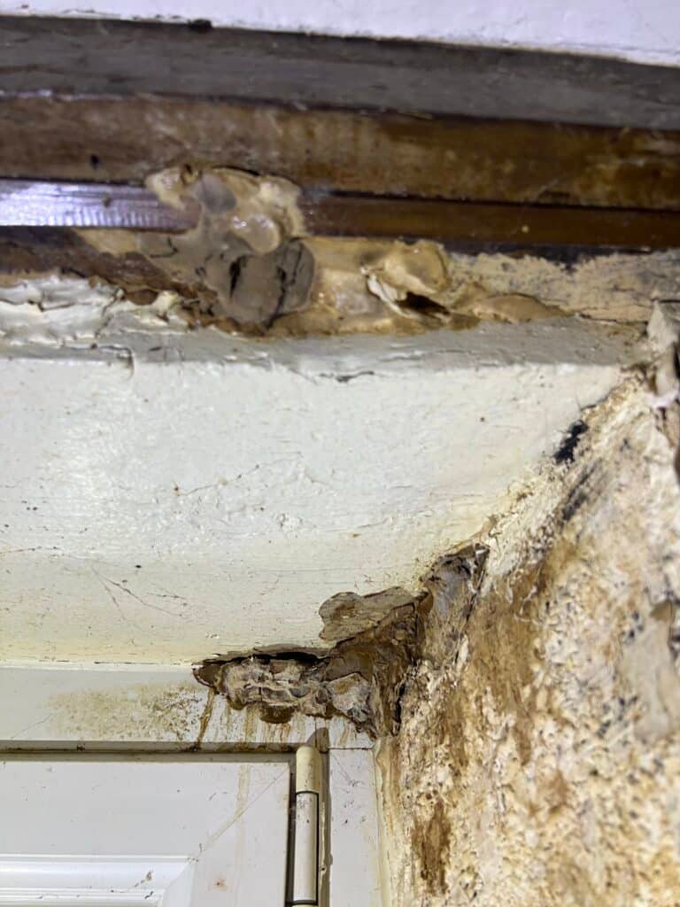 Diagnostic bois et humidité à Bayeux